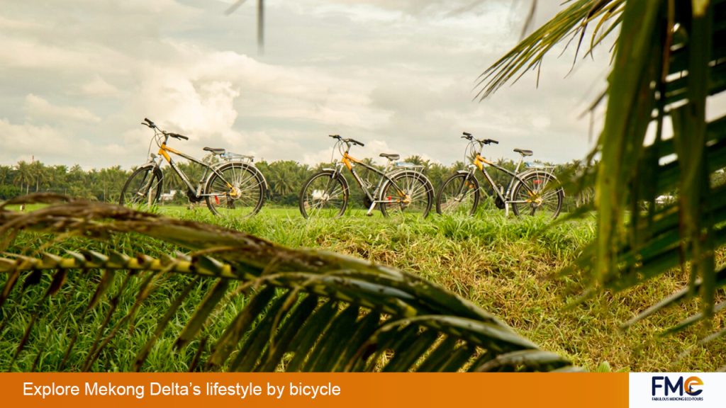 Bicycle tour in Mekong Delta