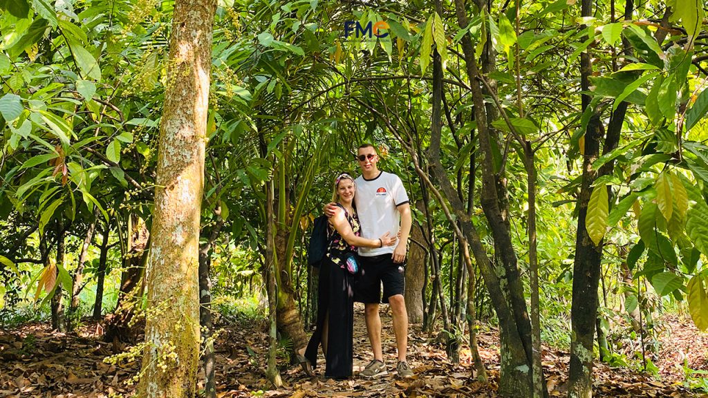 Cacao plantation in Can Tho