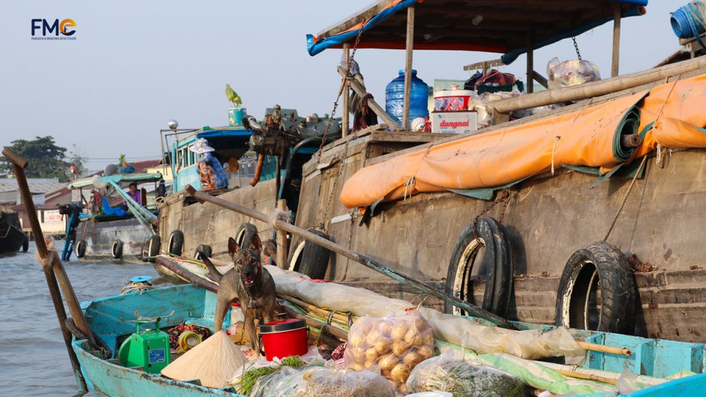 Happy dog being a vendor on Floating Market