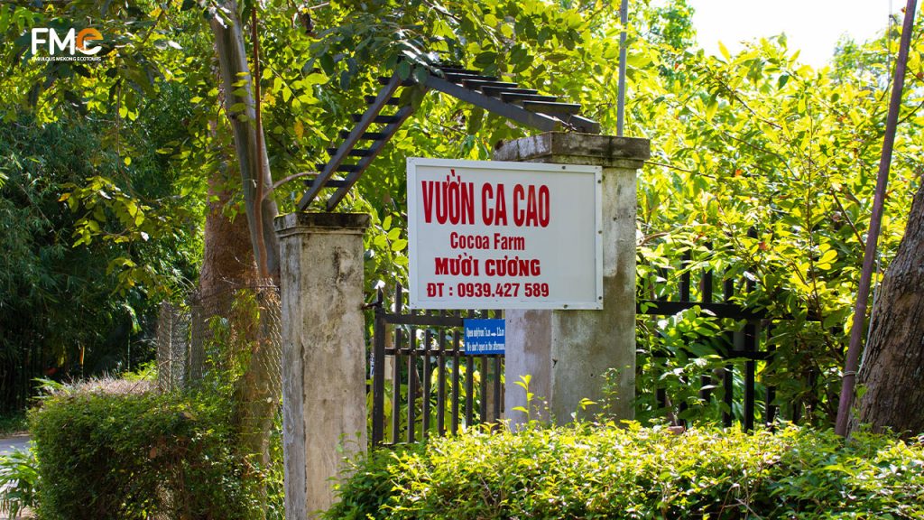 Infont of Muoi Cuong Cocoa farm in Can Tho