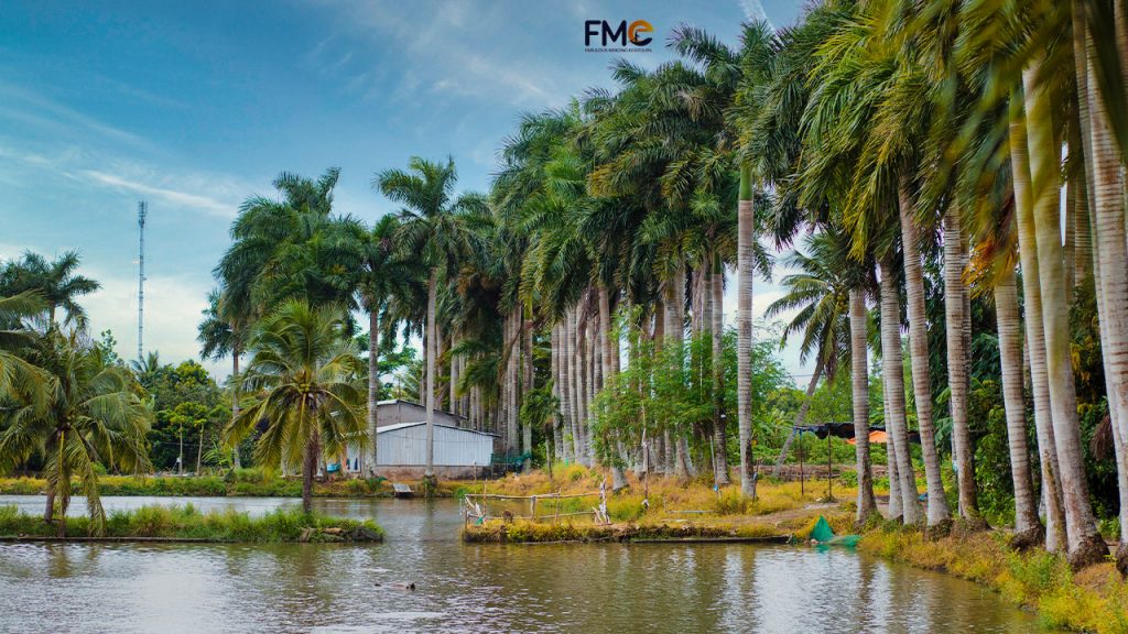 Balm garden on Son islet