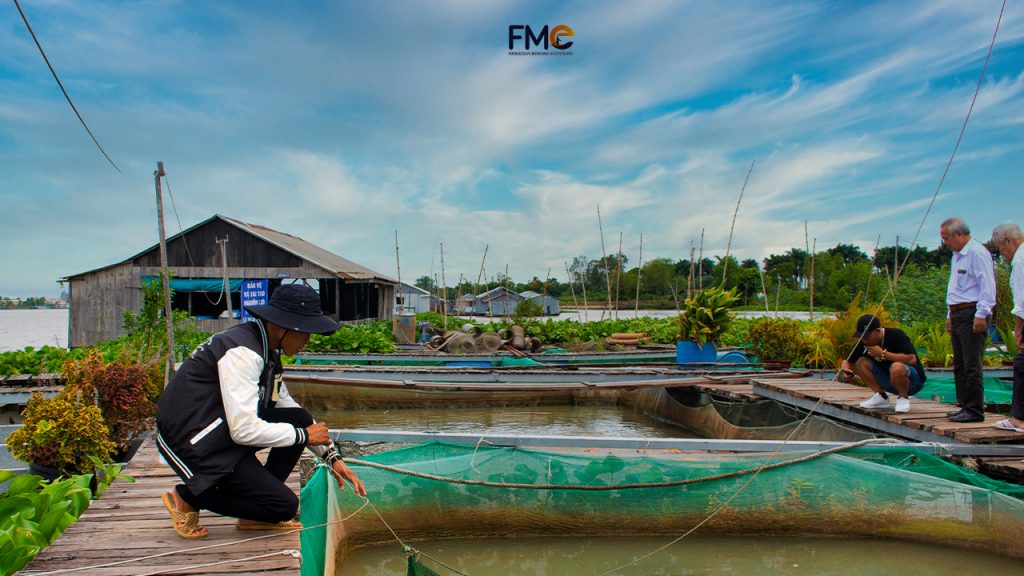 Floating fish farm on Son islet