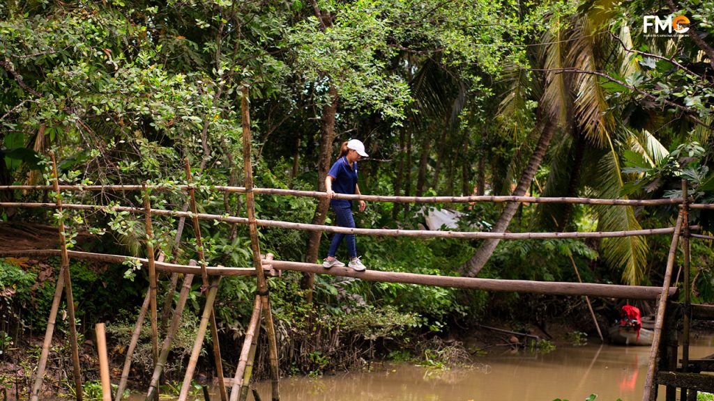 Monkey bridge on Son islet