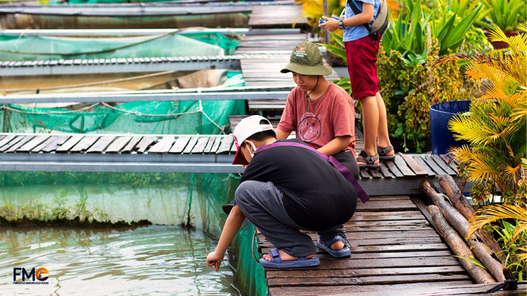 Visit floating fish farm on Son islet