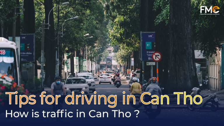Tips for driving in Can Tho - Transportation guide