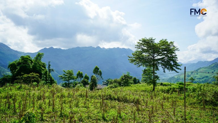 The view of green grasses and trees with Sam mountain far away