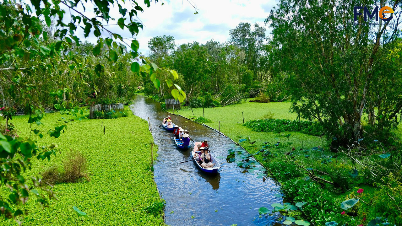 Activities in Tra Su forest