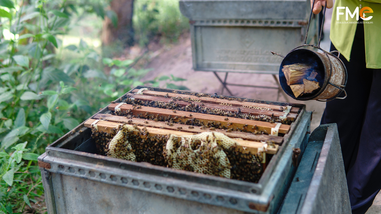 Bee hives in Tra Su cajuput forest