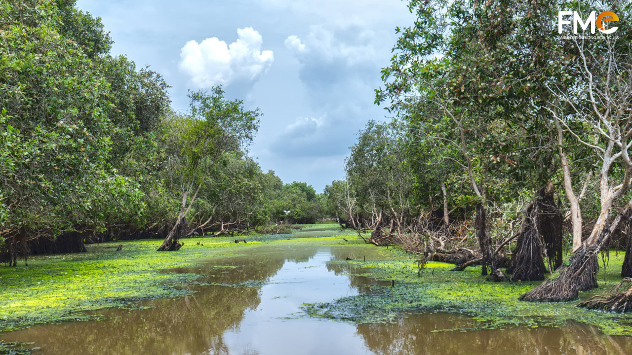 The river has Melaleuca trees on both sides