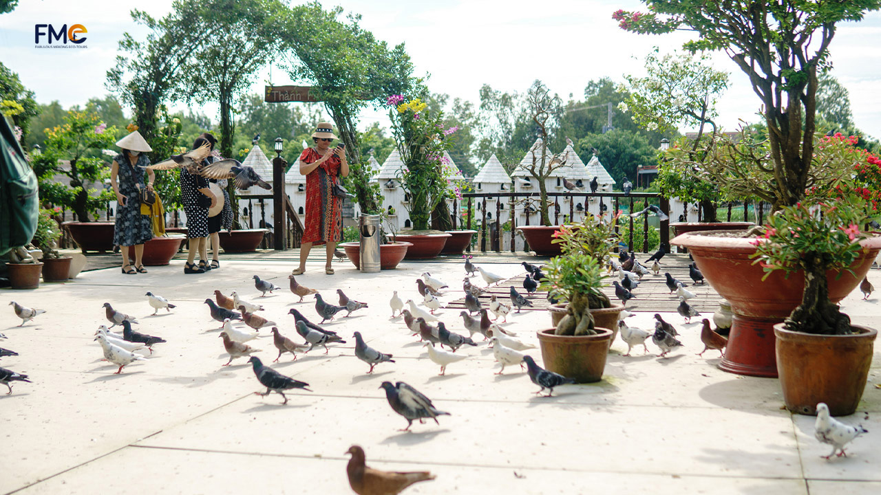 A flock of pigeons is perching on the yard