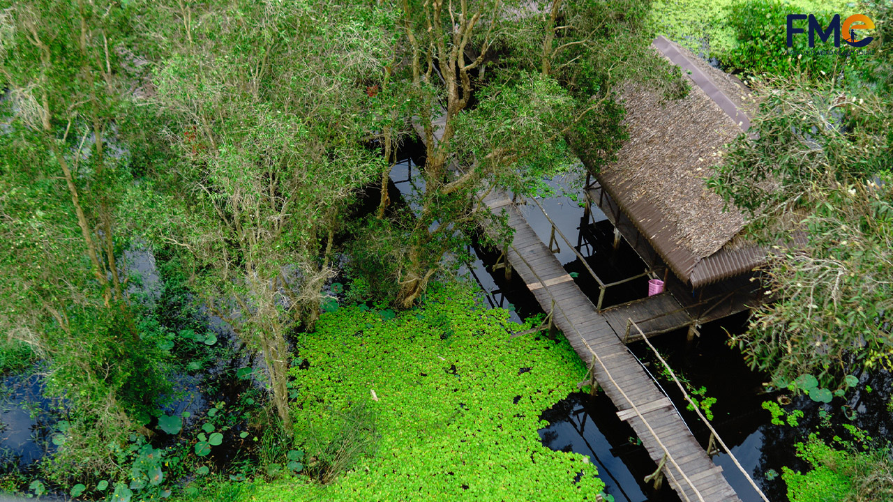 An old house looking from above in the Tra Su bird sanctuary