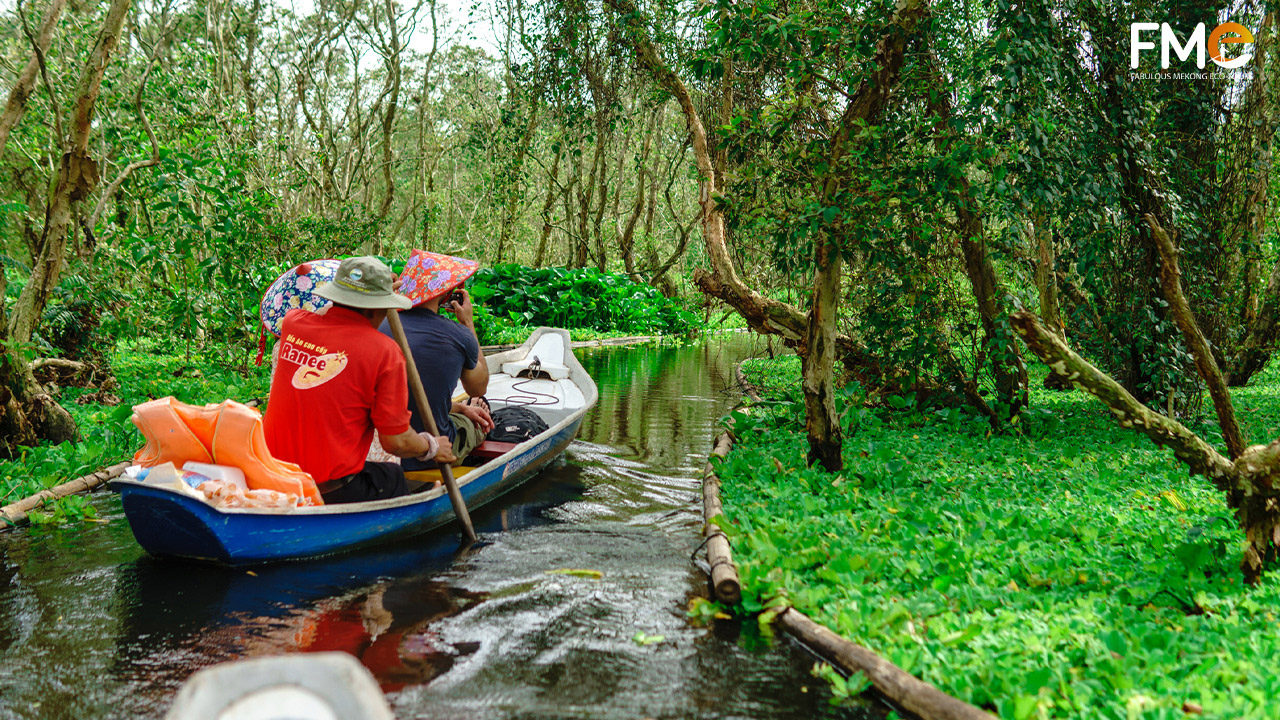 Boating in Tra Su cajuput forest