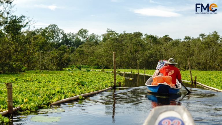 Tourists visit Tra Su forest by boat