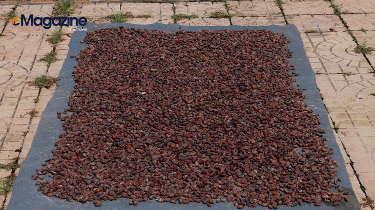 Drying step in making chocolate process