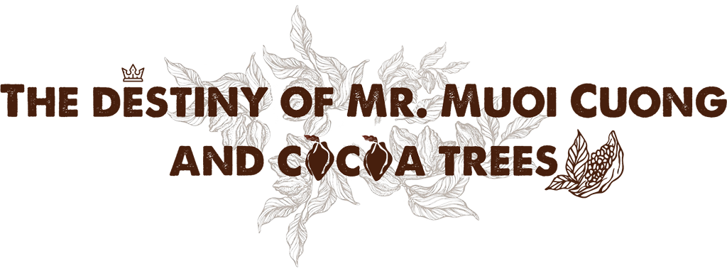 The detiny of Mr Muoi Cuong and cocoa trees