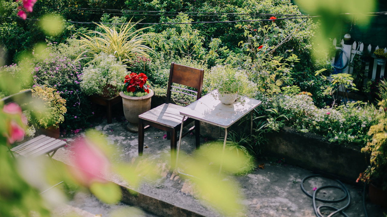 Green space in a corner of the shop