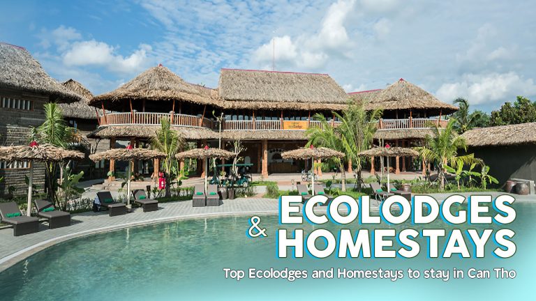 Top 8 Ecolodges & Homestay in Can Tho