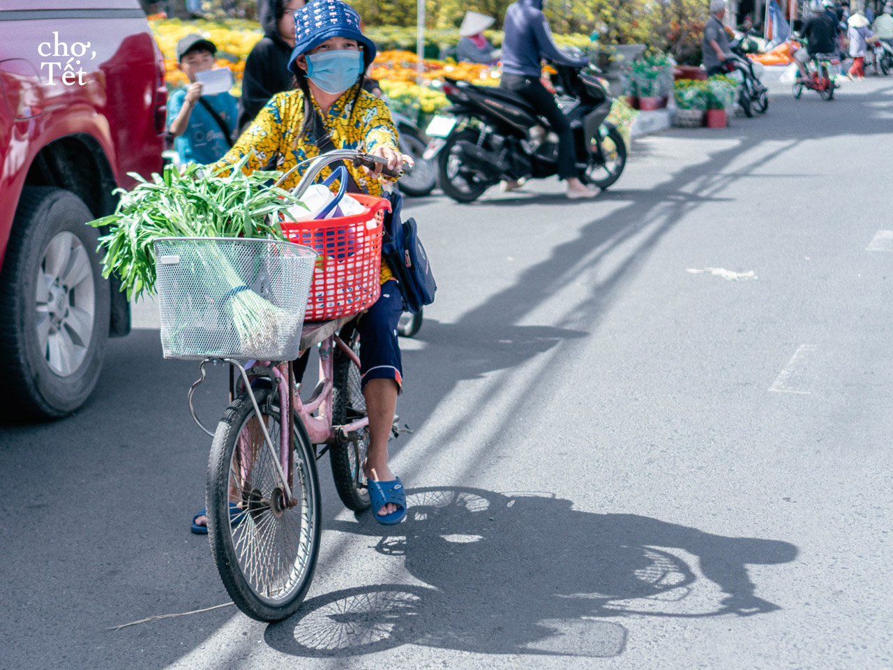 Woman riding bicycle to the market to shop