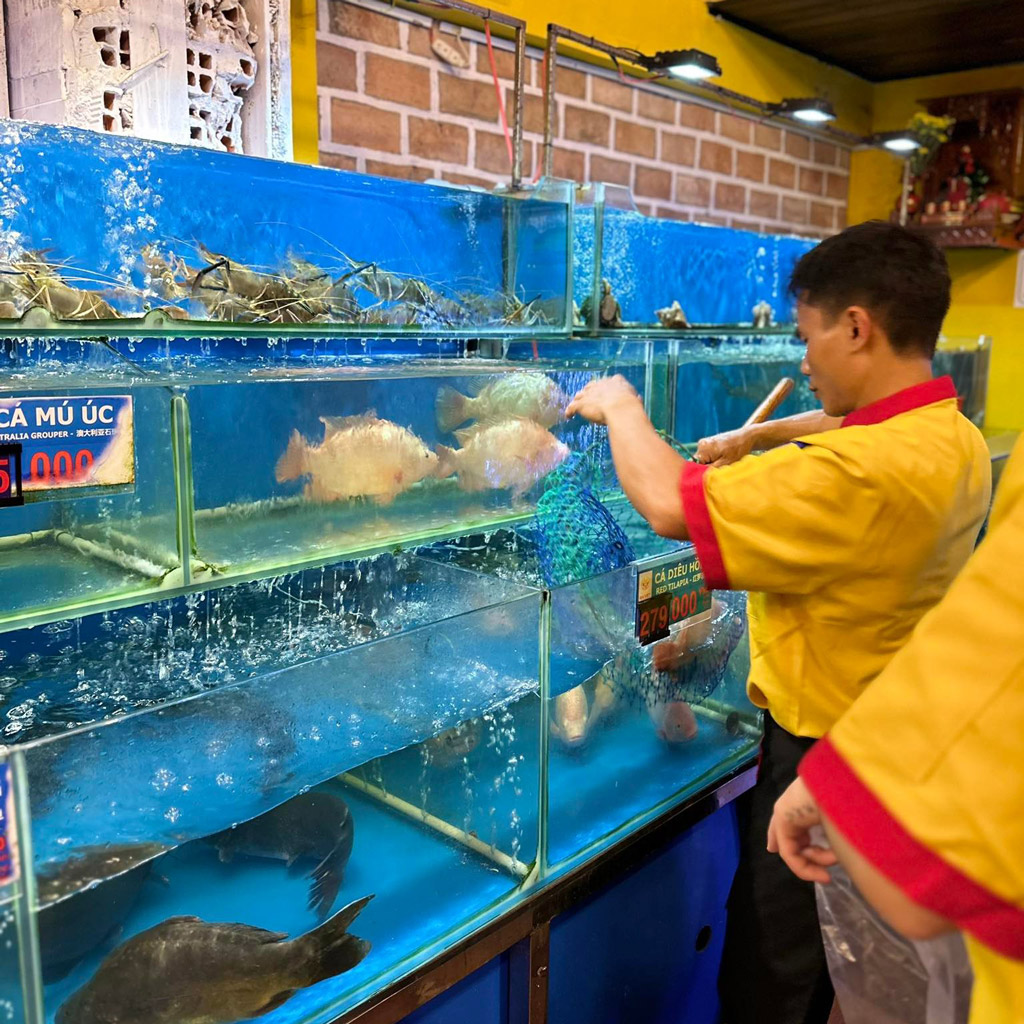 Seafood tank at Lua Dai Viet restaurant