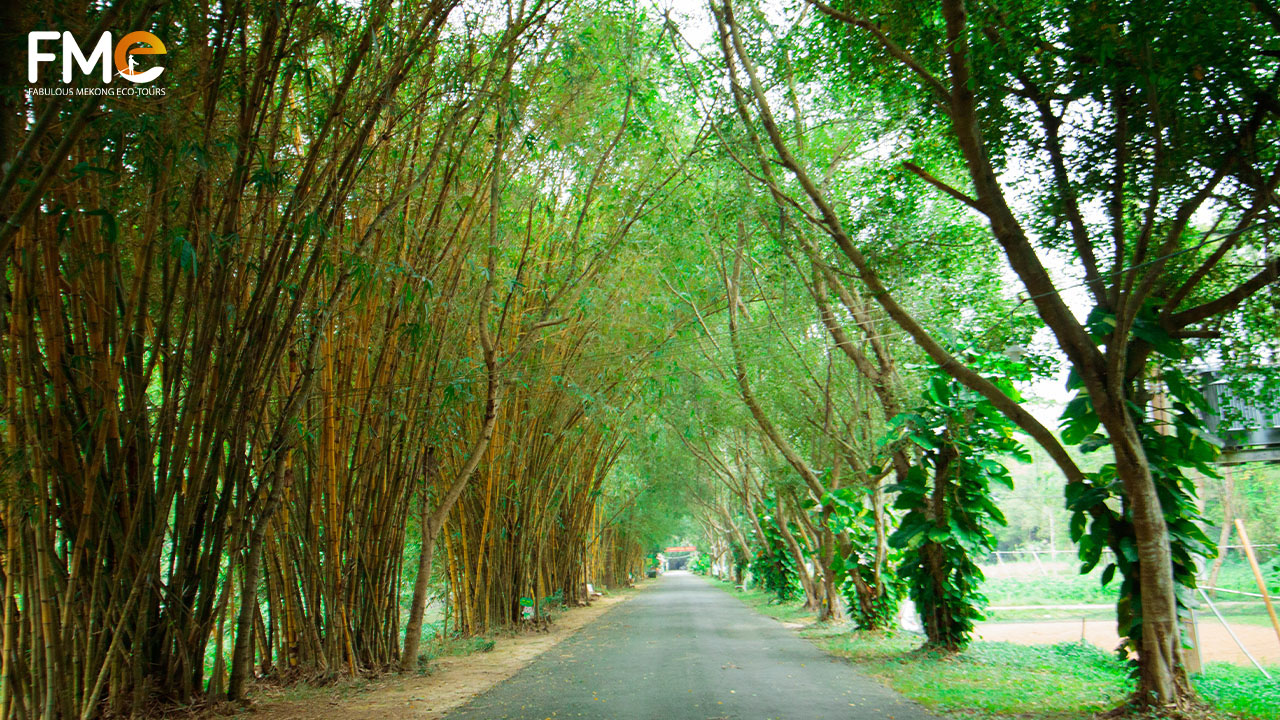 The rustic and full of bamboo town street in the Dong Thap full day tour