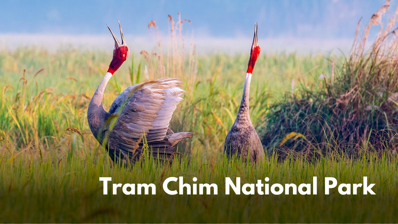 Tram Chim National Park