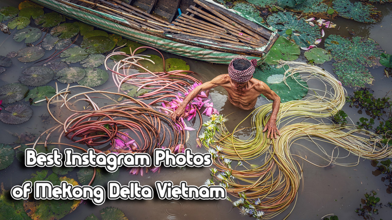 Instagram photos of Mekong Delta Vietnam