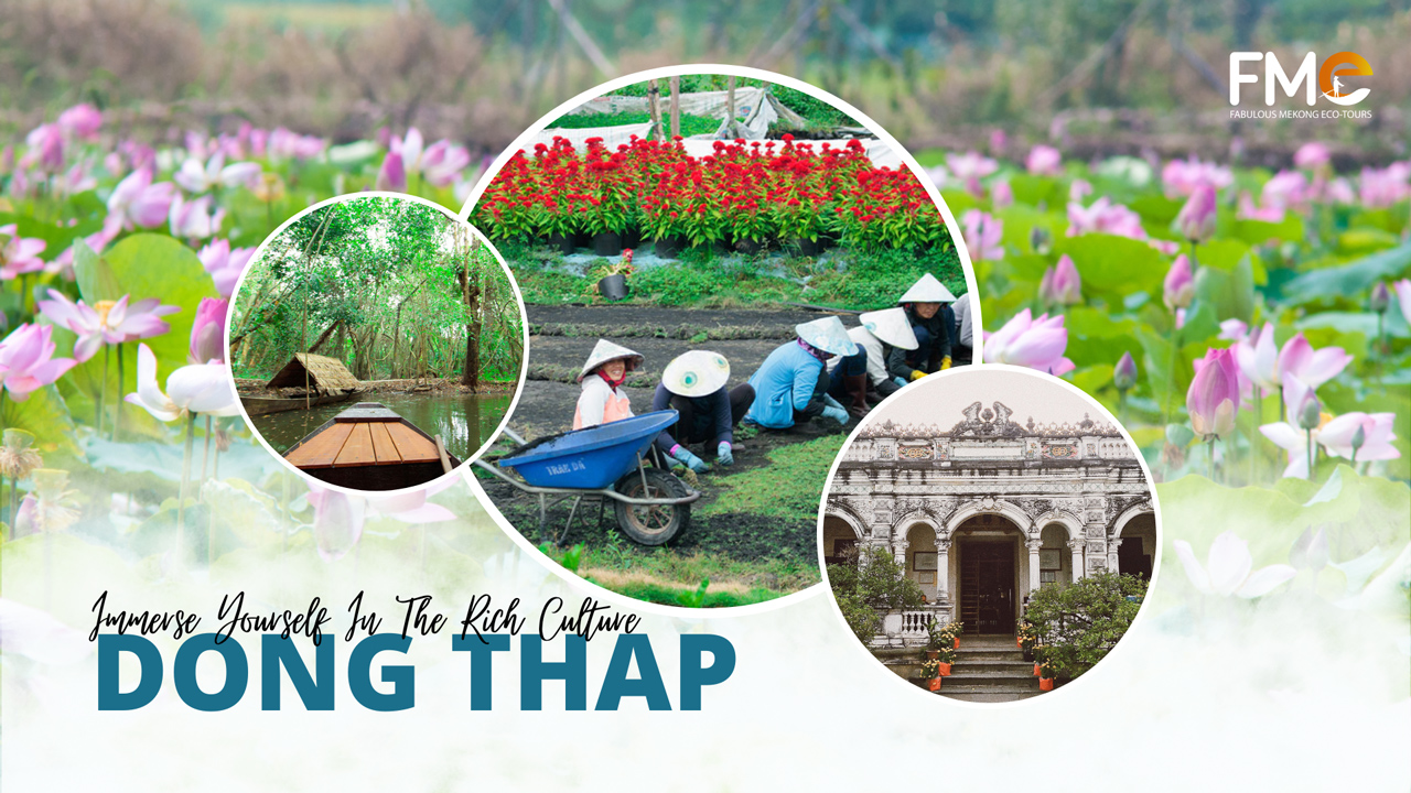 Dong Thap tours