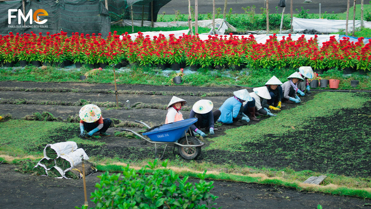 Seeing the hospitable farmers in Dong Thap full day tour