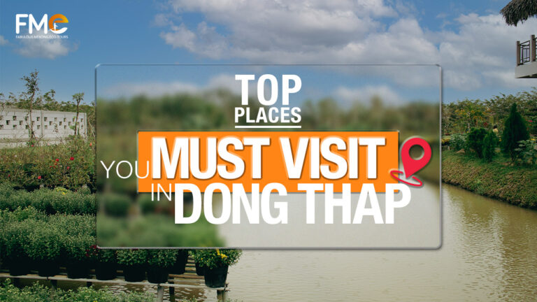 Top 9 BEST Things to Do in Dong Thap