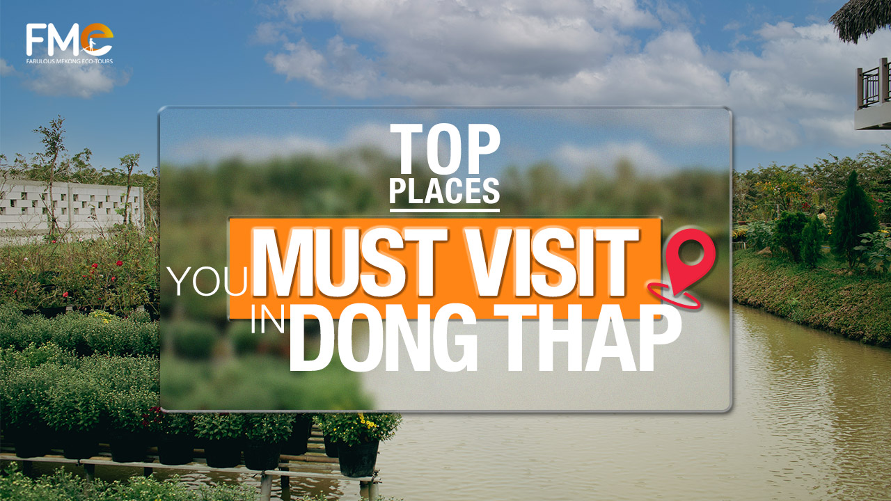 Top things to do in Dong Thap