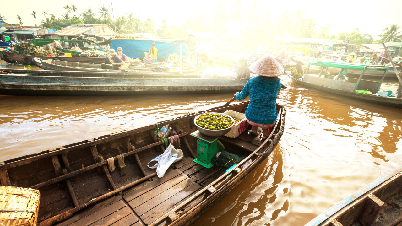 A kumquat seller is paddling in order to reach the tourists in Mekong Delta