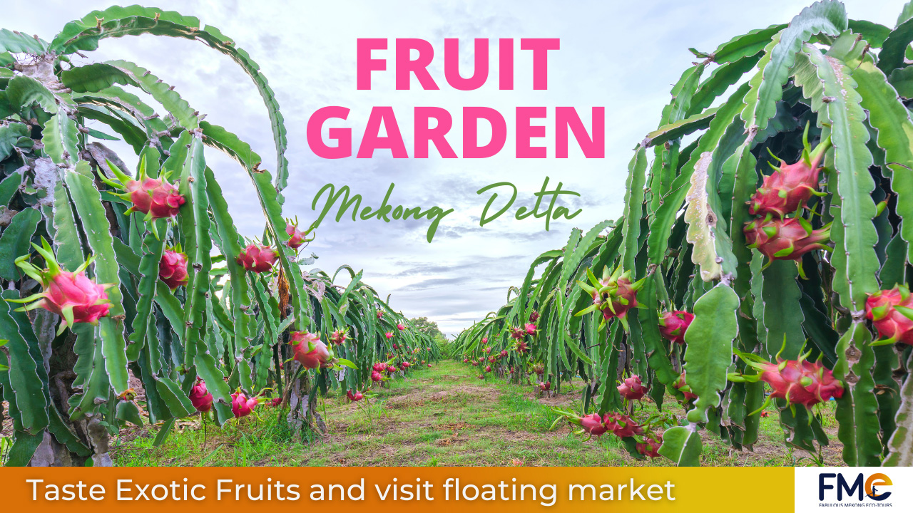 Explore Mekong Delta's Fruit Garden tour