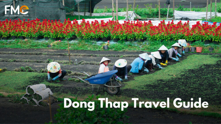 Dong Thap Travel Guide: Ultimate Travel Guide