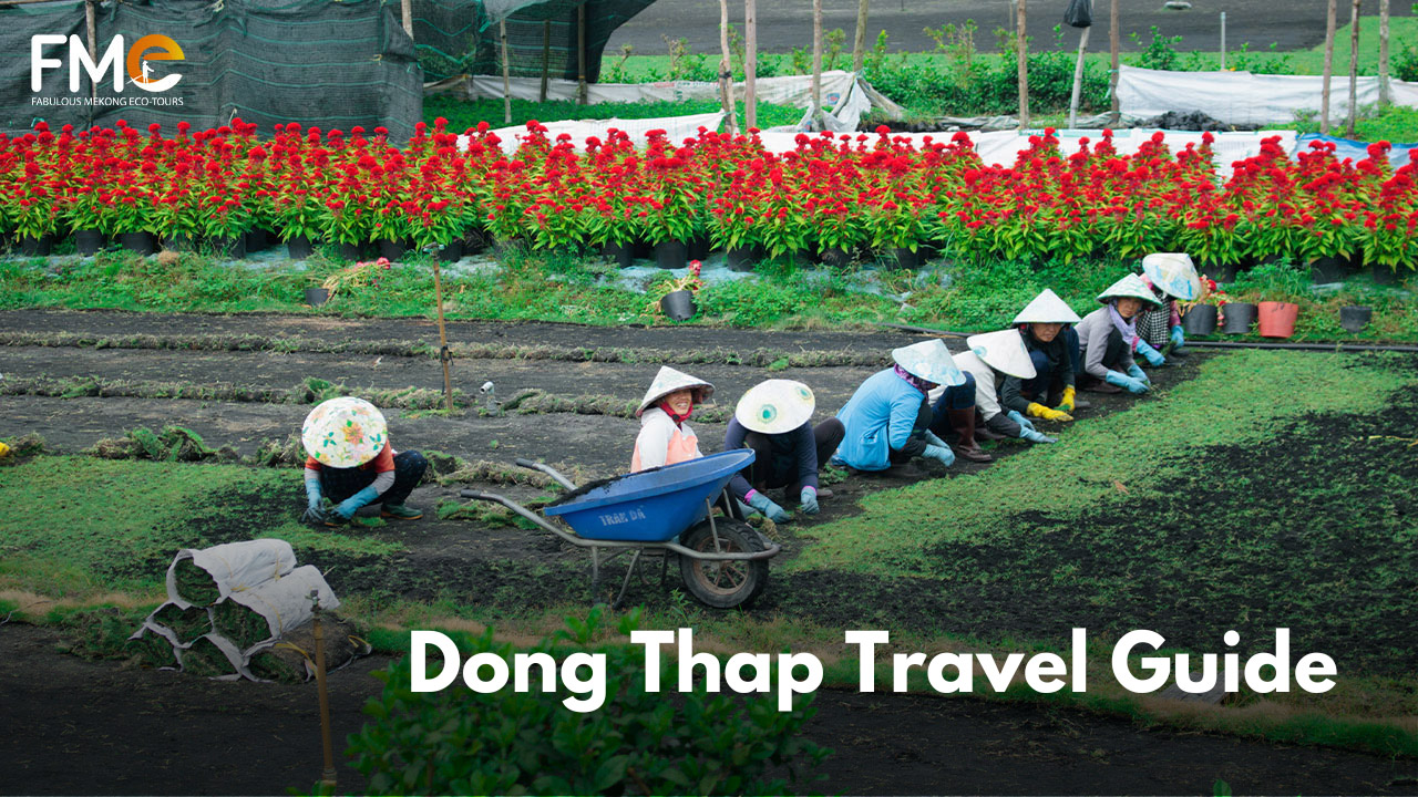 Dong Thap travel guide
