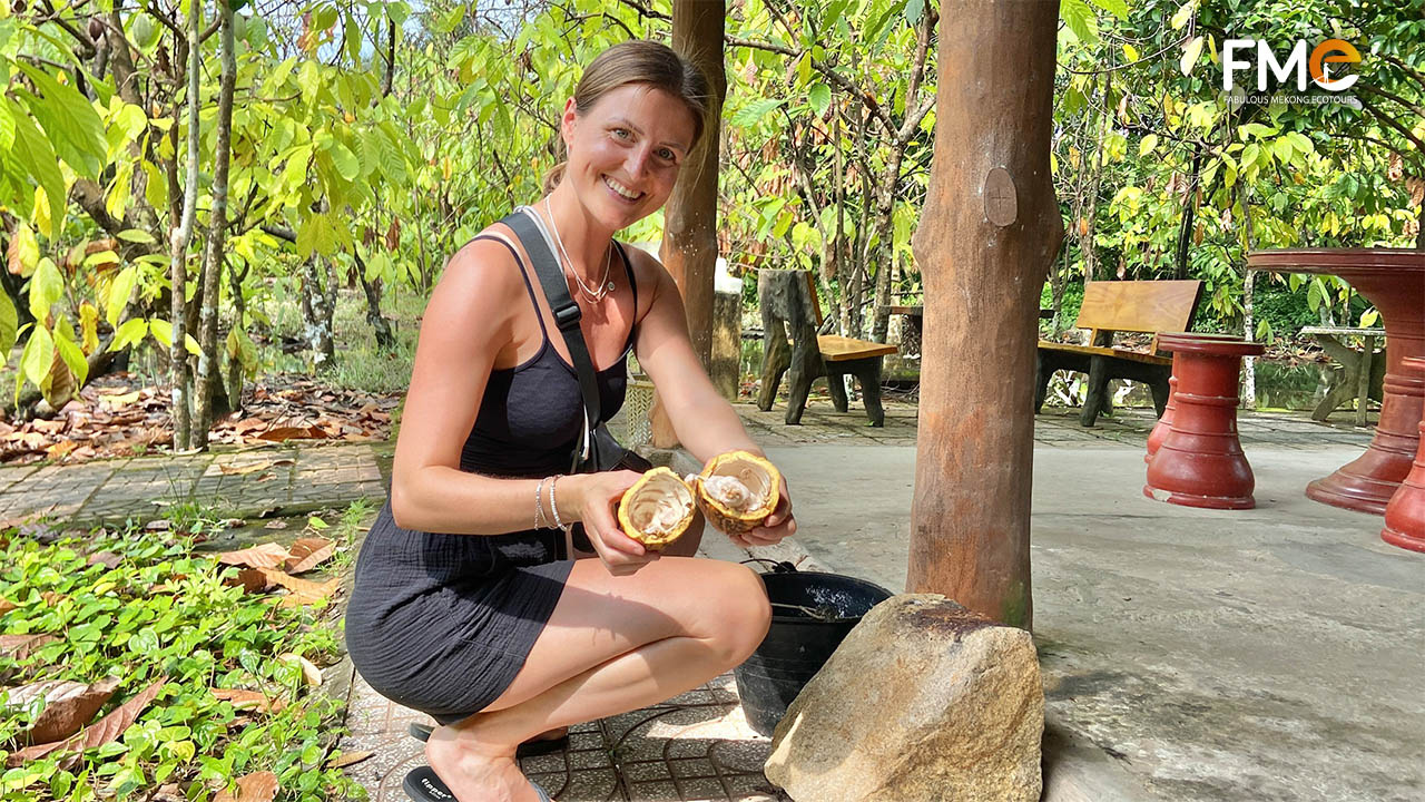 Tourist get to know Cocoa fruit