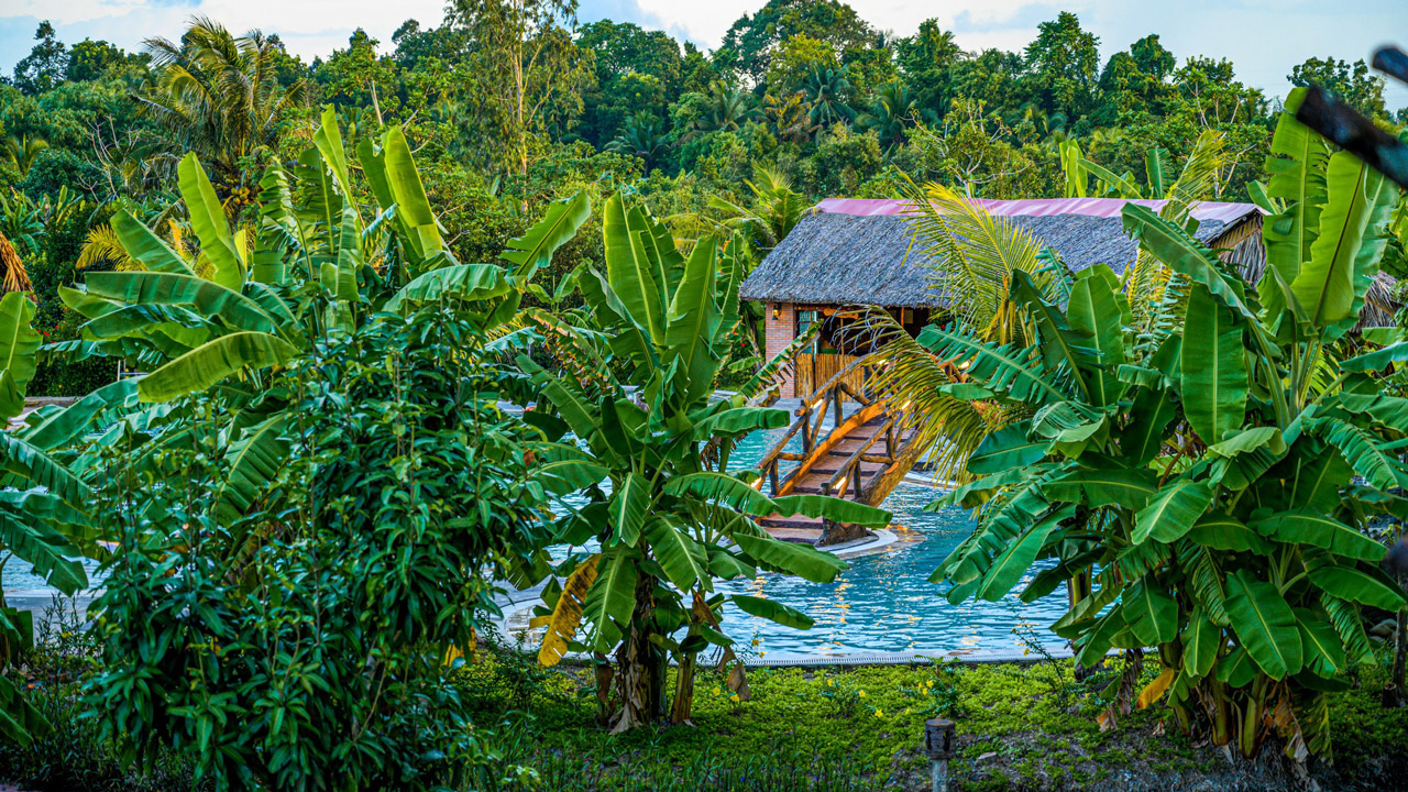 Green space covers the ecolodge