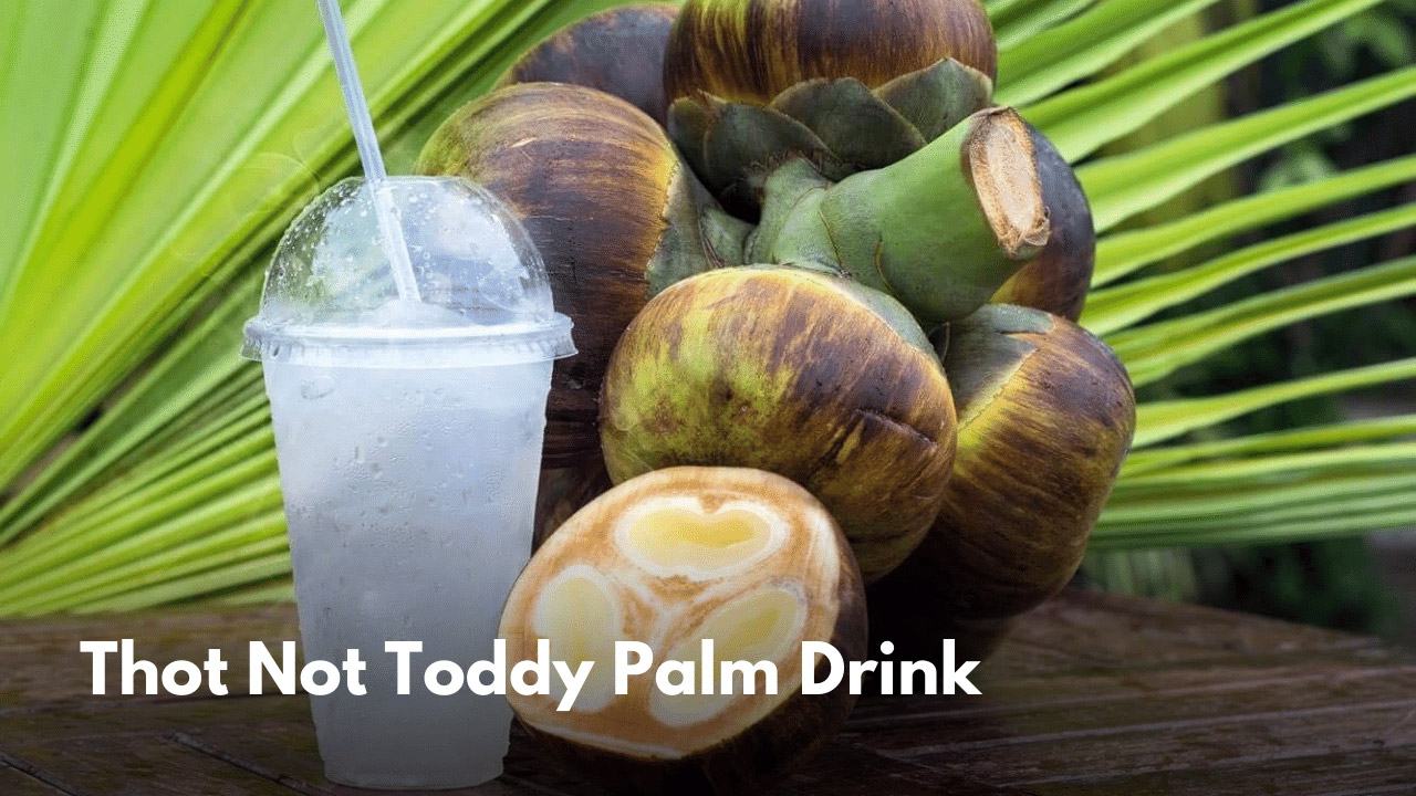 Thot Not Toddy Palm Drink
