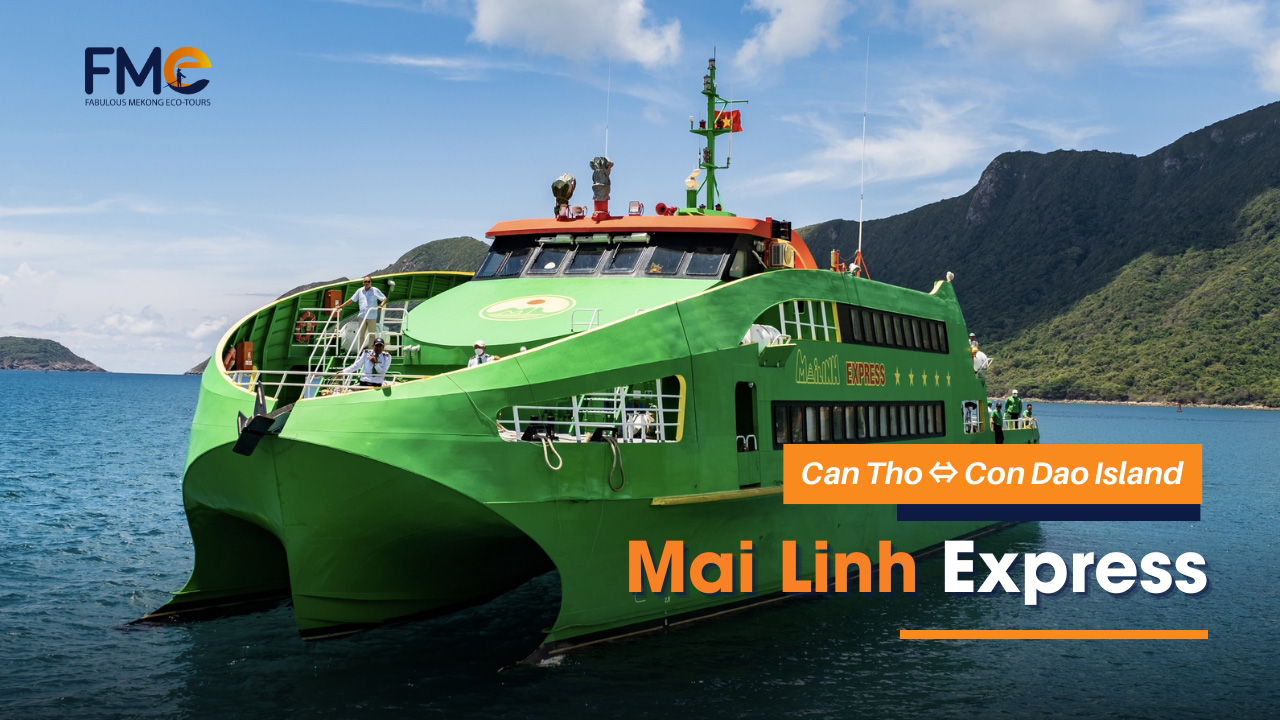 Can Tho to Con Dao island by Ferry Ticket (Mai Linh Express)