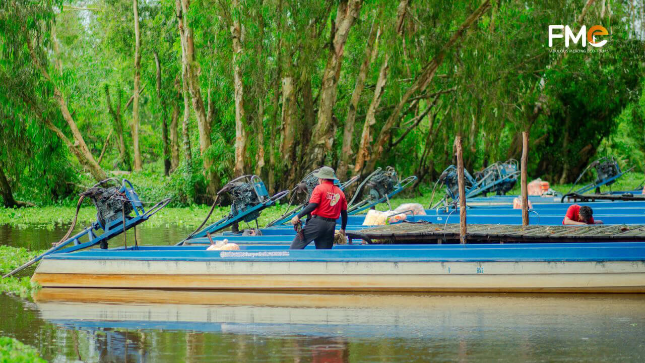 High-quality motorboats that drive you throughout Tra Su forest"