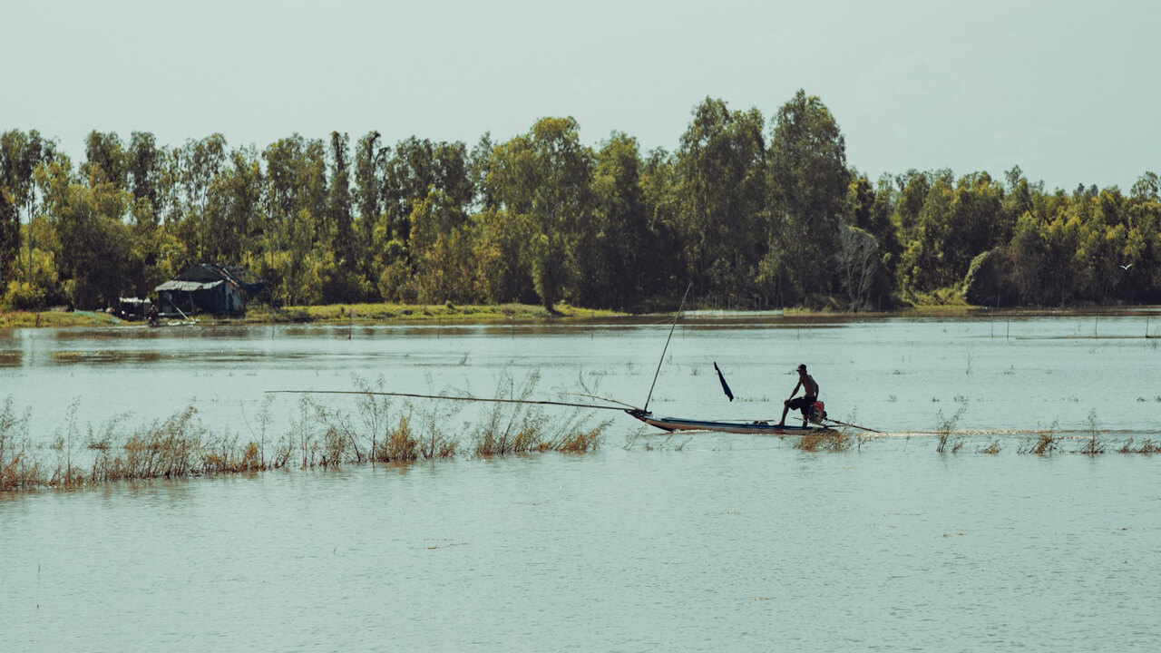 A man goes on a boat to watch fish in An Giang during the flood season