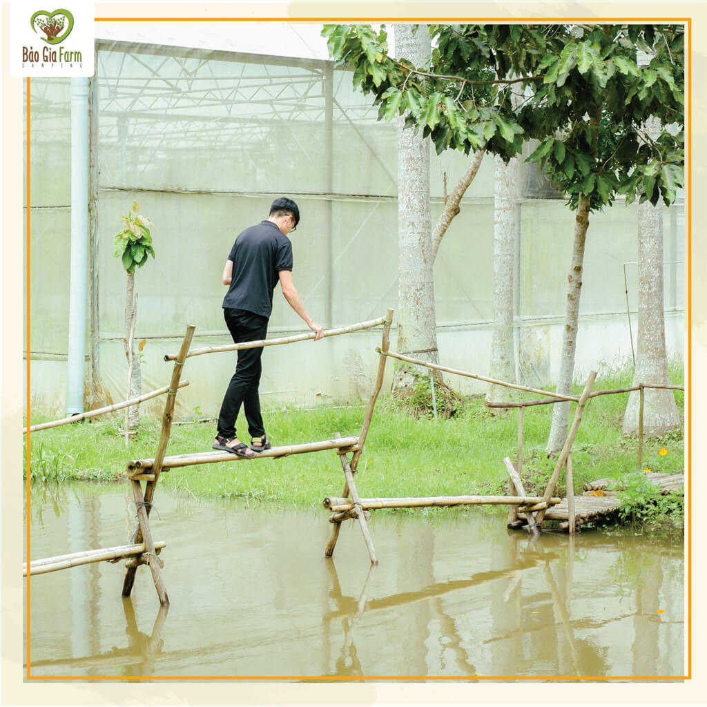 Experience going to the monkey bridge at Bao Gia Farm Camping Hau Giang