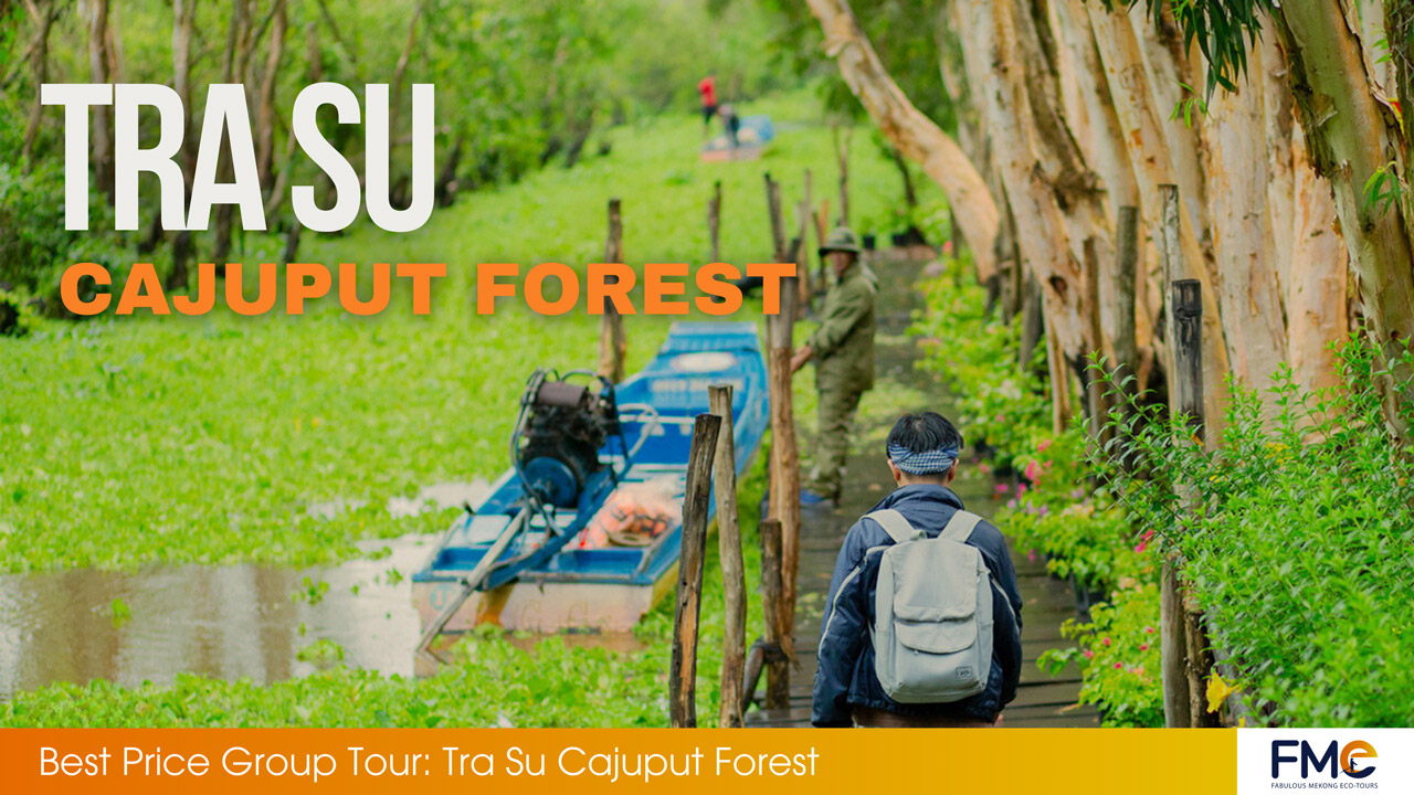 Full day tour Tra Su cajuput forest