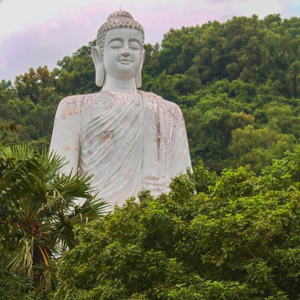 Statue of Sakyamuni in the middle of the forest at Khmer Kal Bo Pruk Pagoda in An Giang