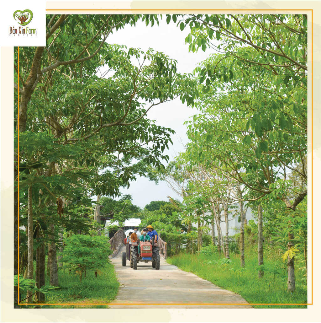 Sitting on a moving tractor at Bao Gia Farm Camping Hau Giang