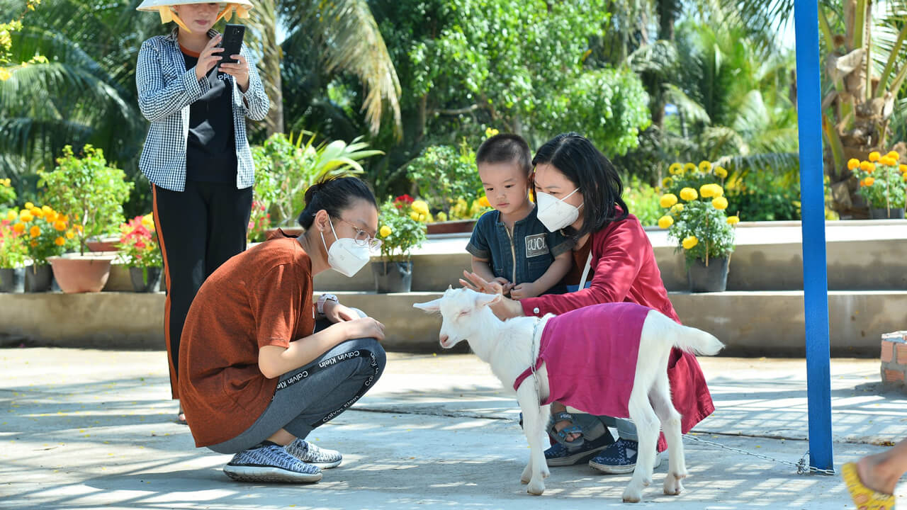 Tourists are excited to touch goats at Dong Nghi Dairy Goat Farm in Tien Giang