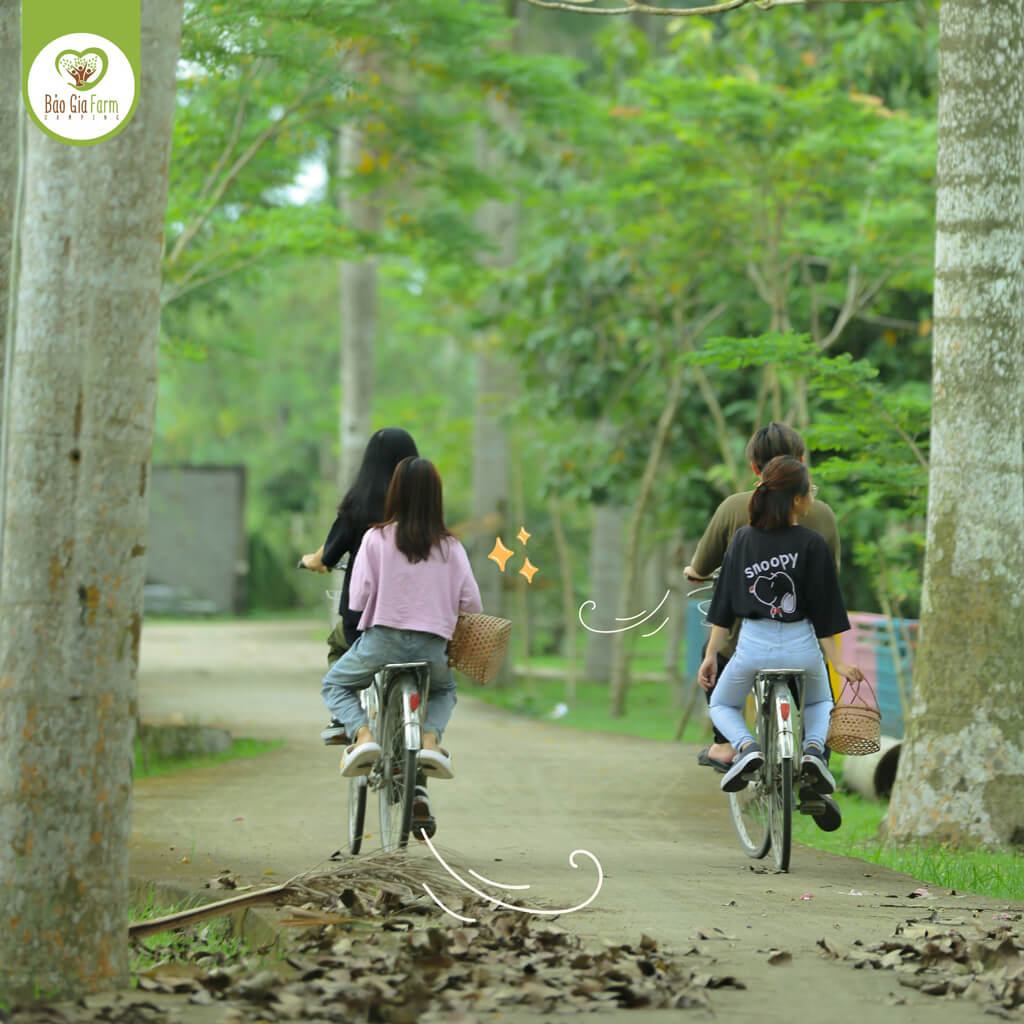 Tourists travel by bicycle at Bao Gia Farm Camping Hau Giang