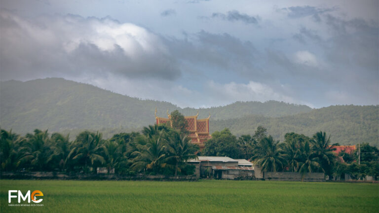 Village landscape of An Giang fields with a pagoda in the distance