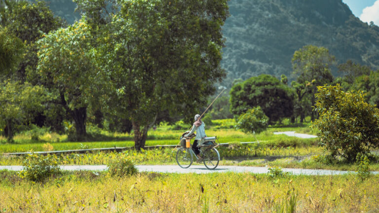 Woman riding a bicycle on a country road in An Giang