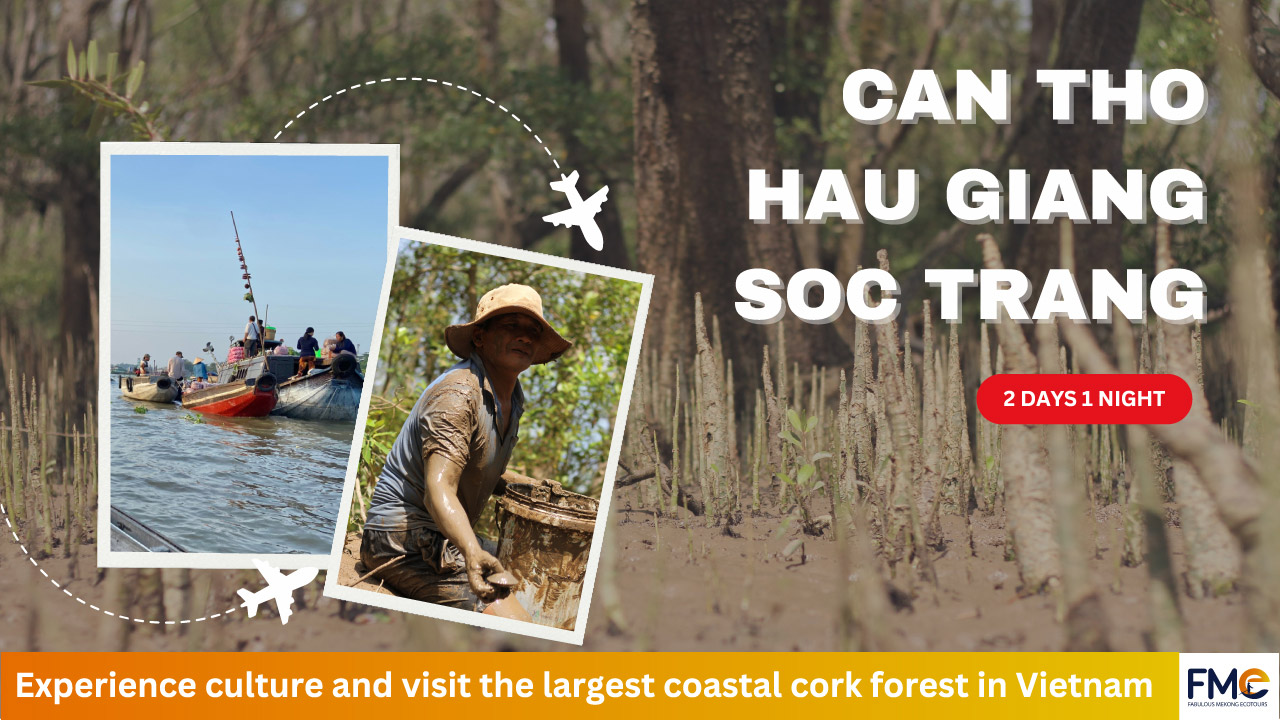 Can Tho - Soc Trang - Hau Giang 2 days 1 night tour