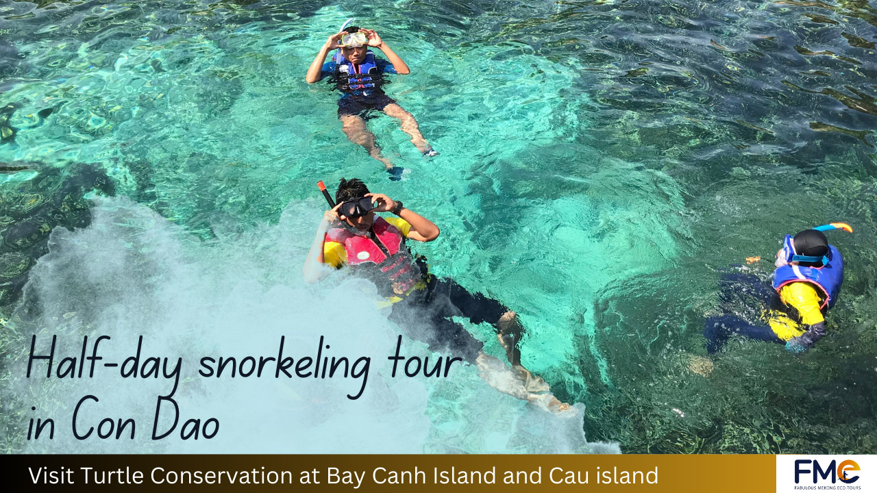 Half-day snorkeling tour in Con Dao